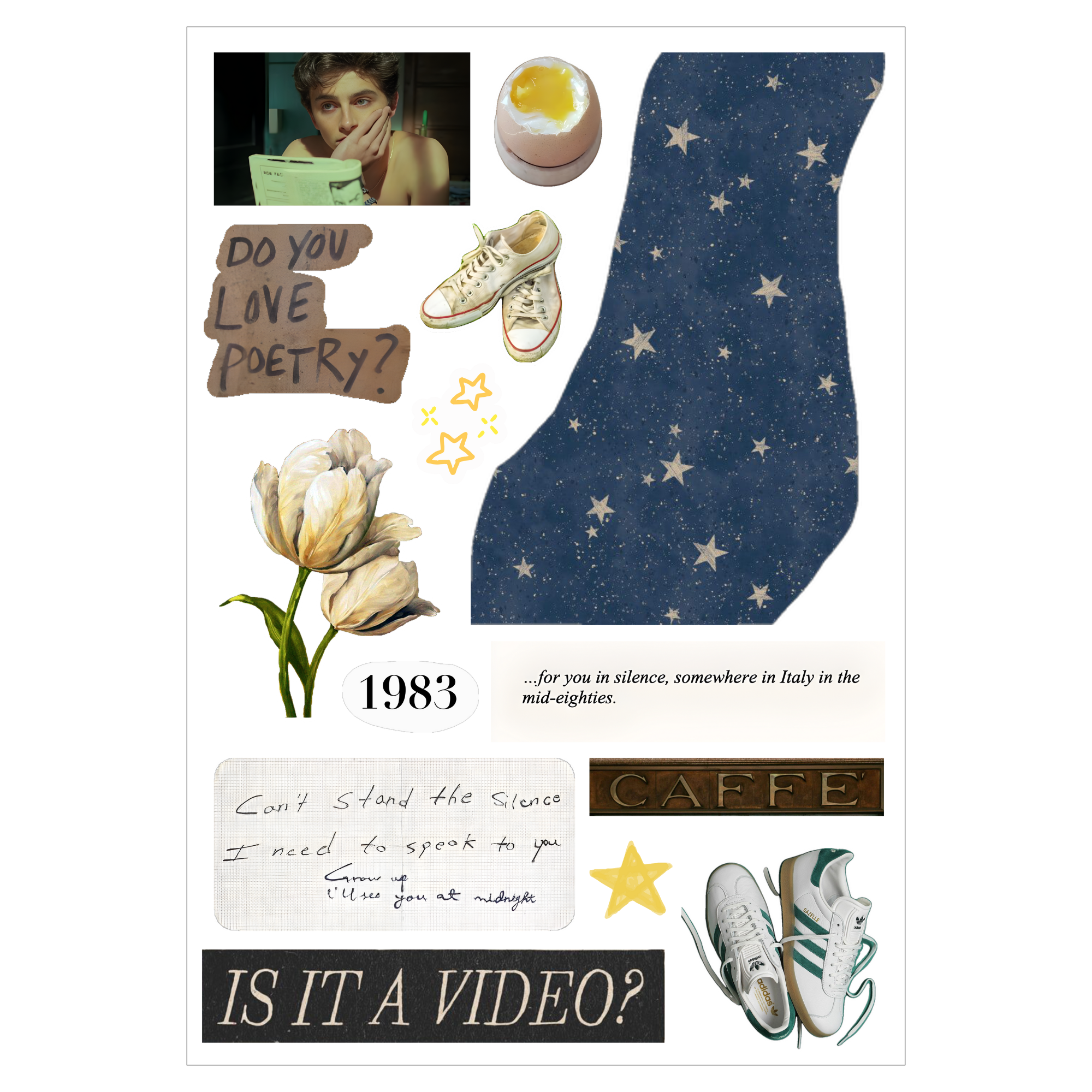 Set of 6 Sheets CMBYN Inspired Sticker Pack