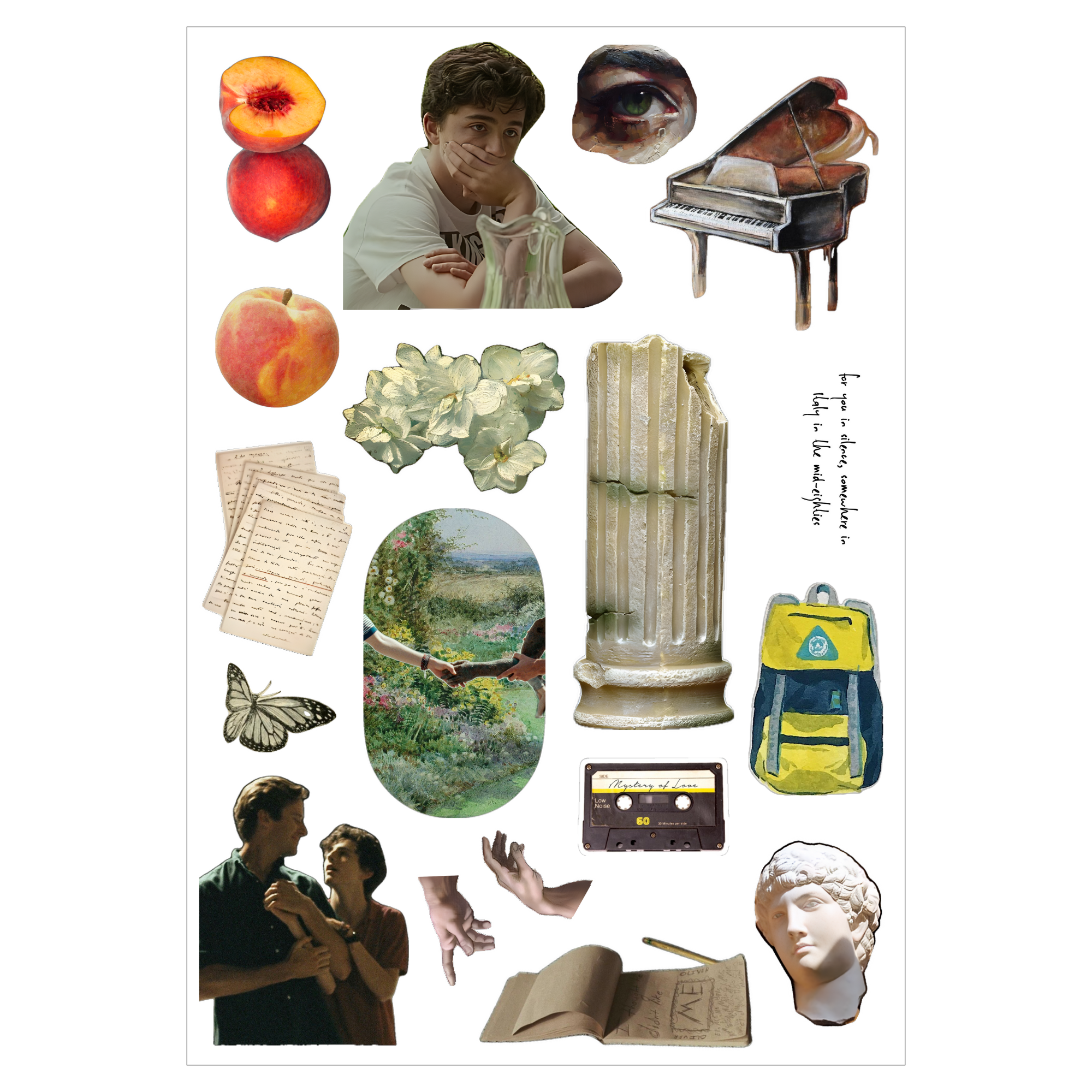 Set of 6 Sheets CMBYN Inspired Sticker Pack