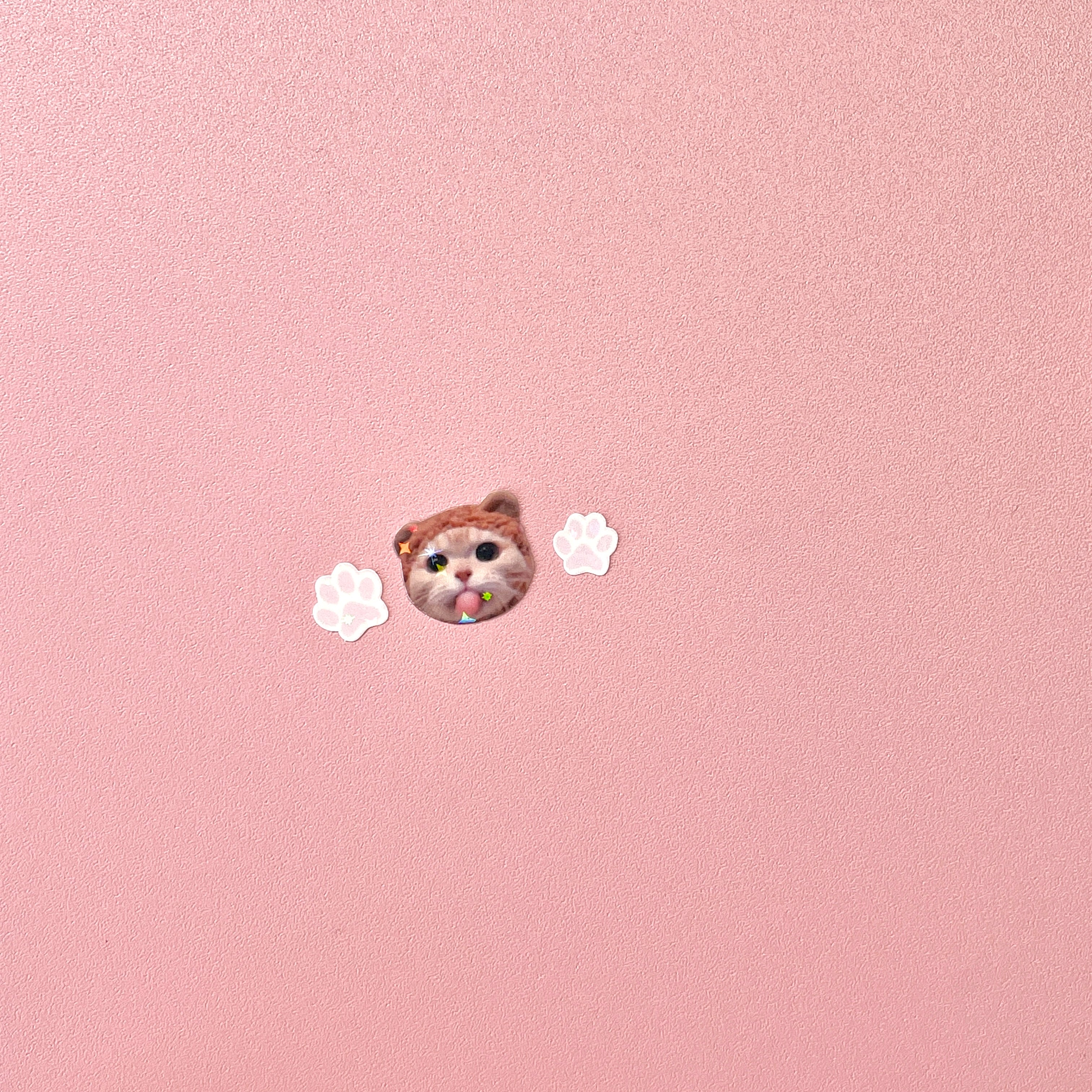 Kawaii Cat Sticker Sheet