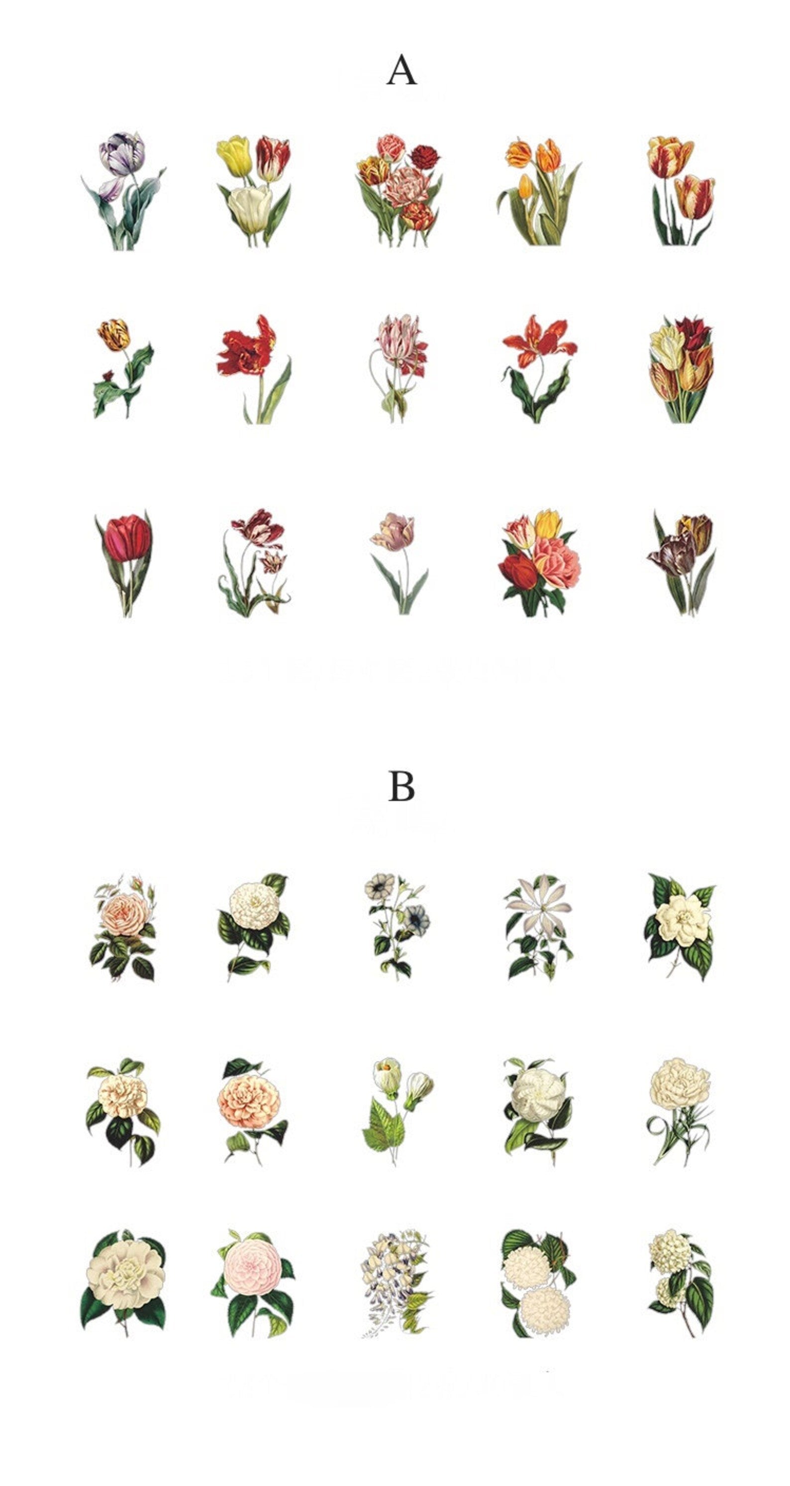 PET Botanical Sticker