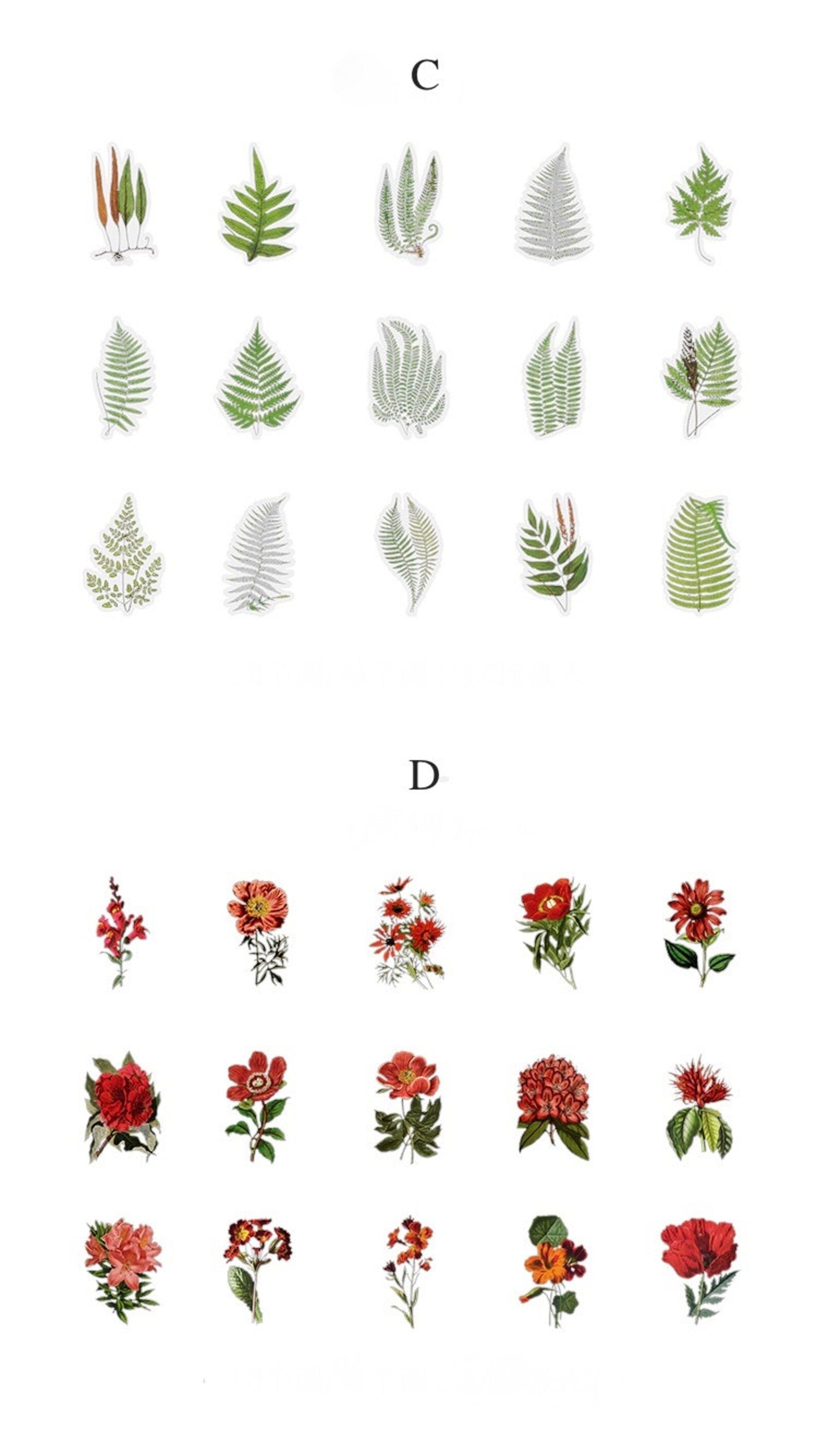 PET Botanical Sticker