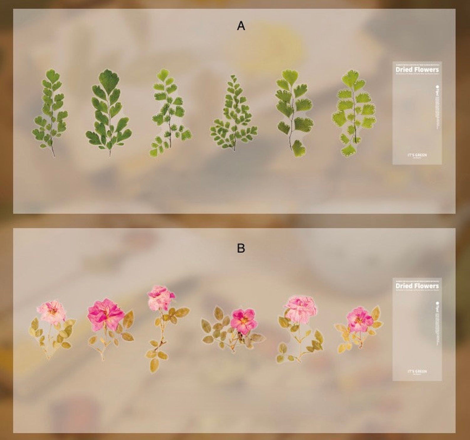 Dried Flower Sticker Pack