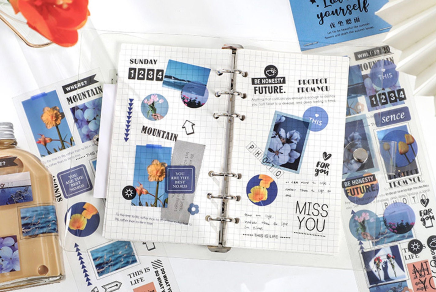 PET Journal Decor Sticker Sheet