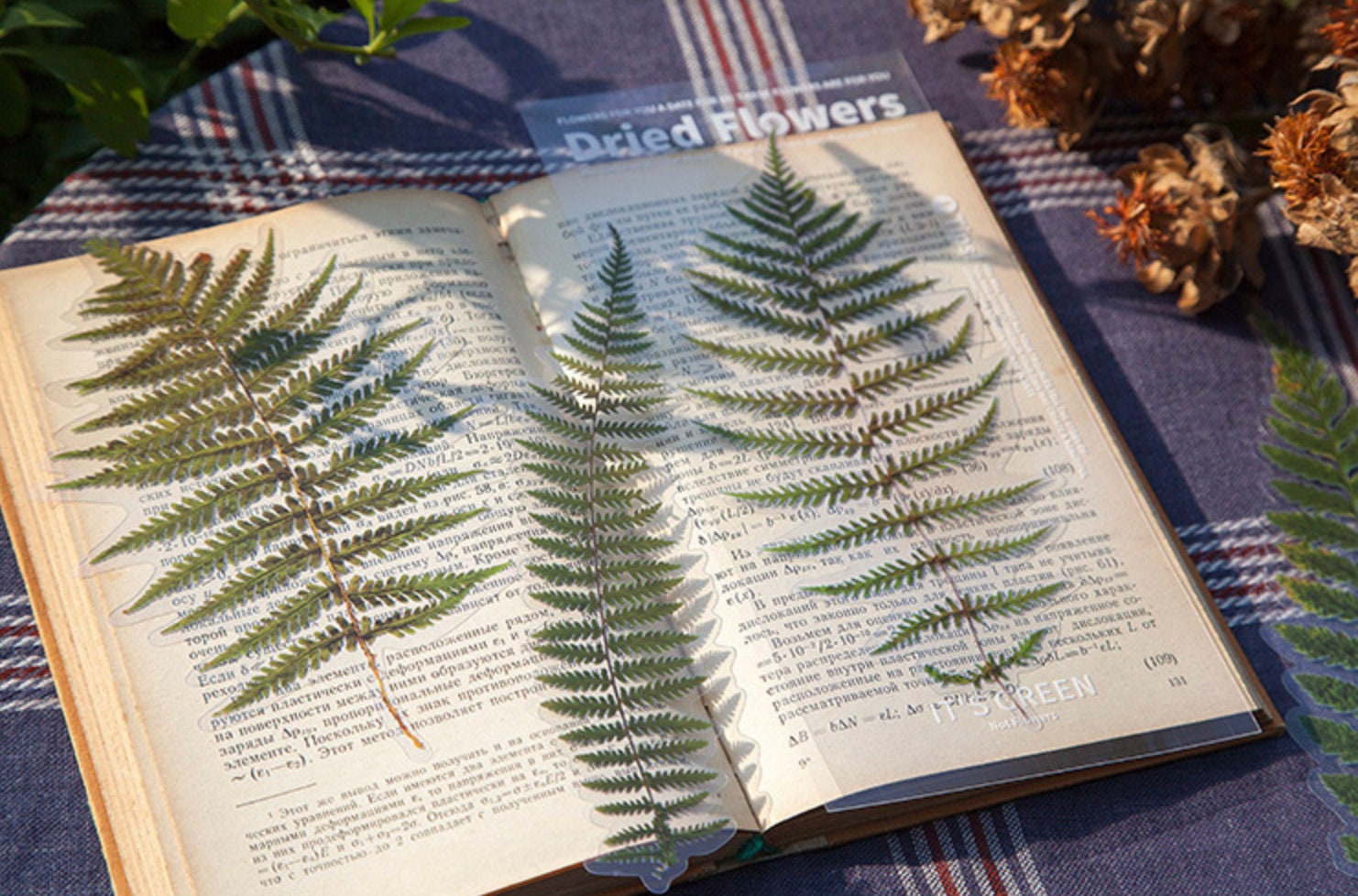 Dried Flower Sticker Pack